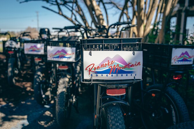 3-Hour E-Bike Sightseeing and Breweries Tour in Roanoke - Riding toward Mill Mountain’s valley view
