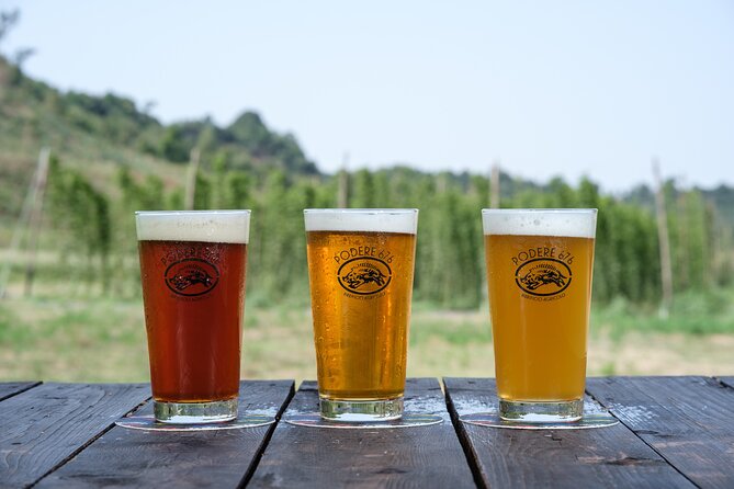 Agricultural Brewery Tour in the Roman Countryside - Practical planning for your day