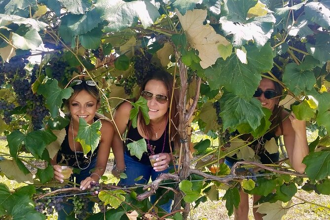All Inclusive VIP Wine or Beer Tour in Hudson Valley - Value, weather, and cancellation flexibility