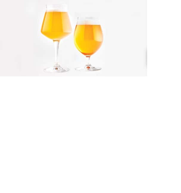 AMMOCHOSTOS VIP -Craft Brewery Tasting & Cypriot Food Trip - Practical tips for a better outing