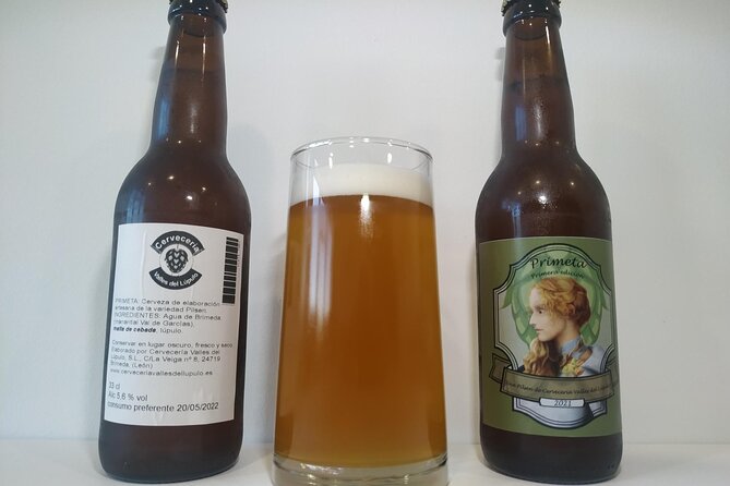 Astorga Cervecera Visit to the Artisan Beer Factory in Brimeda - Brewing explained through chemistry and biology