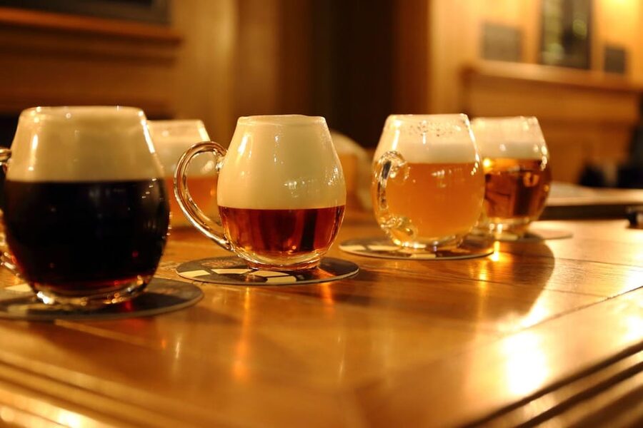 Austrian Beer Tasting and Self-Guided Tour of Vienna - Pair beer with Austrian appetizers and snacks