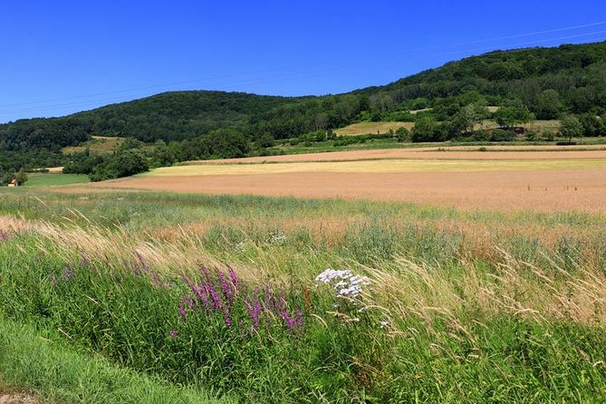 Bamberg Countryside Breweries Beer Hike Food Experience - Starting from Bamberg at 9:00 a.m.