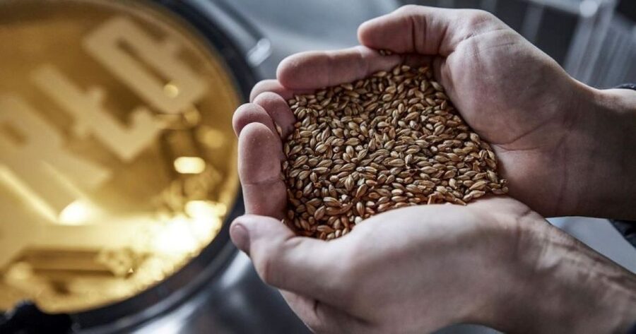 Berlin: BRLO BRWHOUSE Tour and Craft Beer Tasting - Who will enjoy this Berlin beer experience?