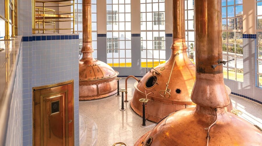 Brewery Experience with Beer Tasting and Optional Transport - The brewing hall and the practical side of beer