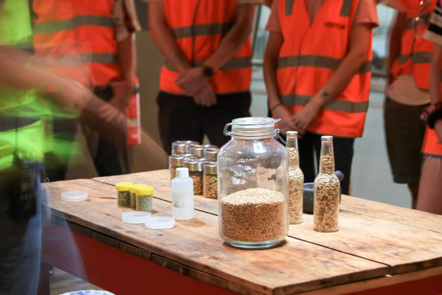 Brisbane: XXXX Beer Brewery Tour and Beer Tasting - Learning how the beer is made