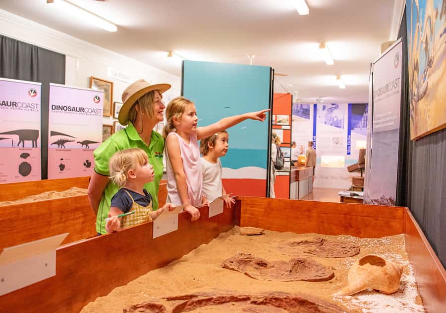 Broome: Matso's Brewery, Museum & Crocodile Park Combo Tour - My verdict on the Matso’s, Museum and Crocodile Park tour