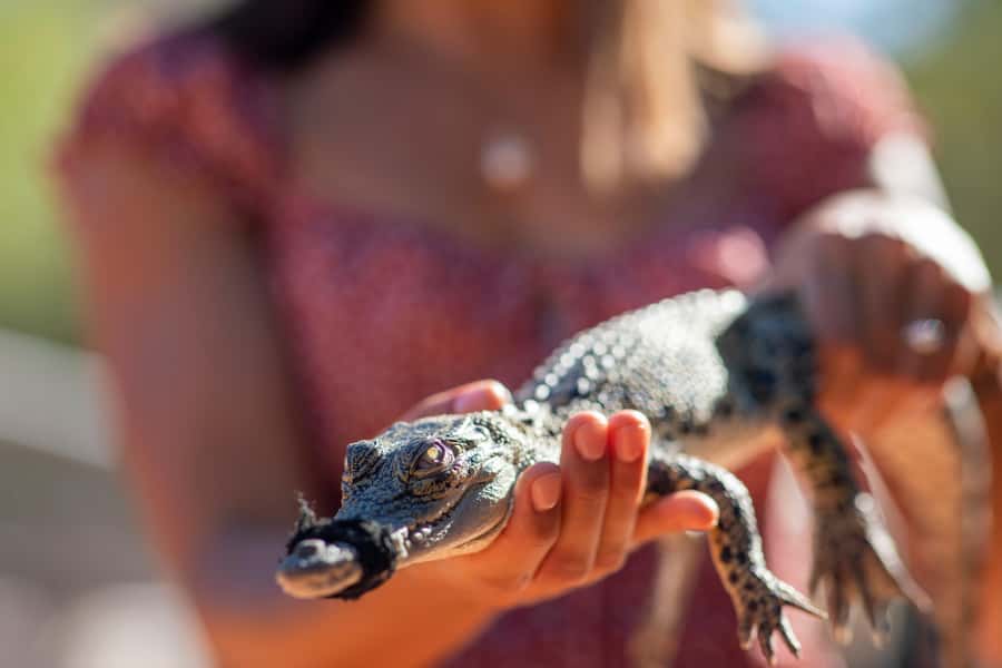 Broome: Matso's Brewery, Museum & Crocodile Park Combo Tour - Broome Museum: a cool start with real local context