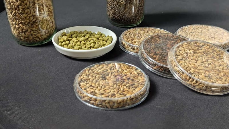 Brussels: micro brewery & distillery tour + beer tasting - What you learn about brewing and distilling