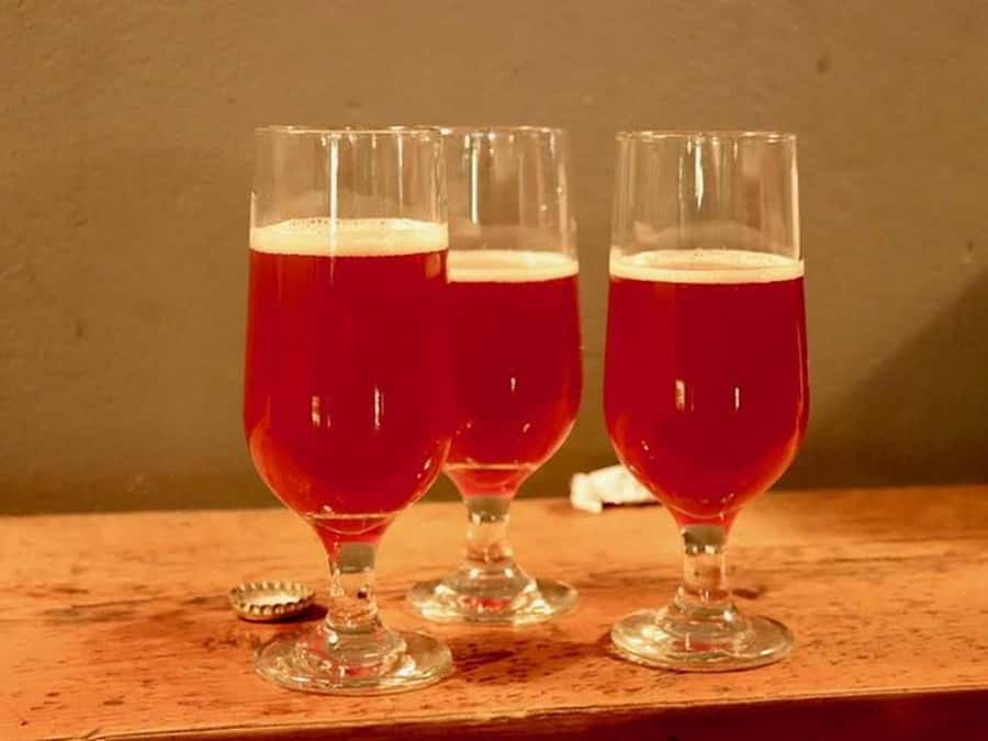 Buenos Aires: Craft Beer Adventure in Colegiales - Price, timing, and practical value