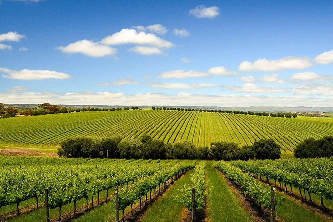 Build your own Unique Private Winery/Brewery Tour at the Margaret River region - Who will enjoy this outing most?
