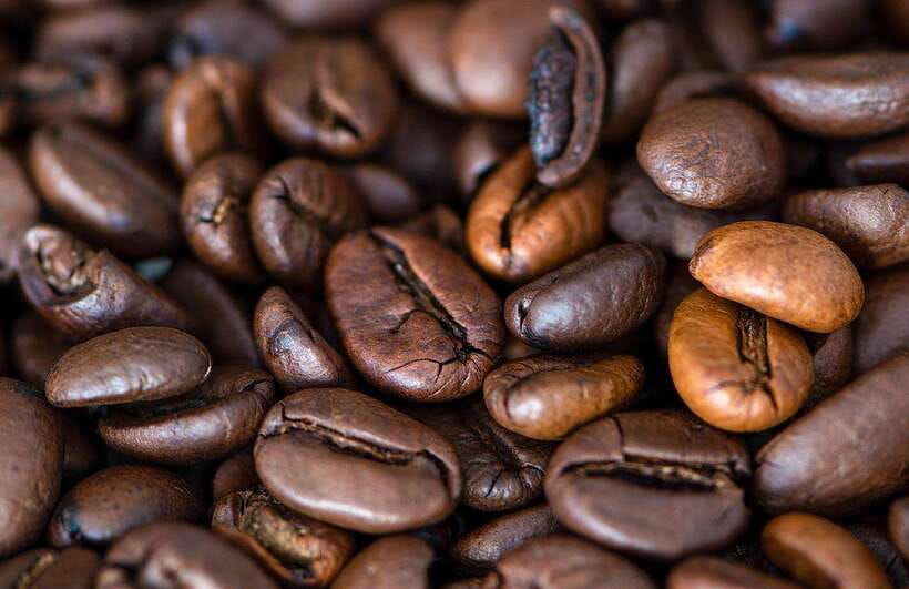 Buon Ma Thuot: Specialty Coffee Tour and Brewing Experience - 9:00 AM, roasting beans and checking quality