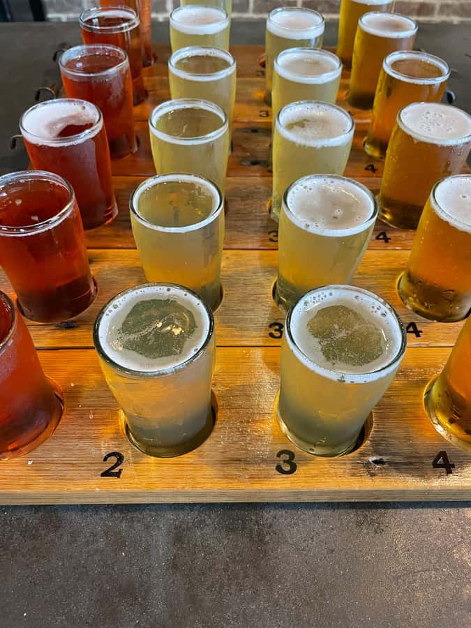 Byron Bay Brewery and Distillery Day Tour: Lunch & tastings - Who will enjoy this most?