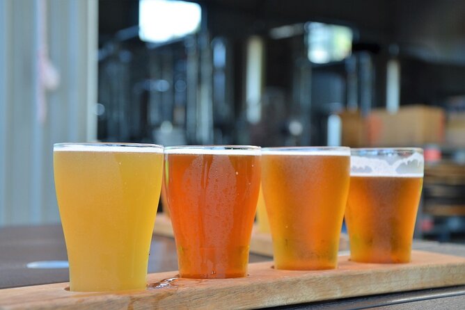 Cairns Brewery Tours - Who will enjoy this afternoon most
