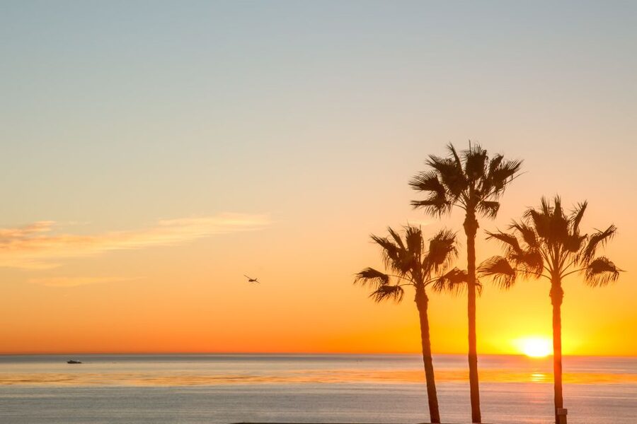 California Sunset Brewery Tour - Why this San Diego brewery tour is different