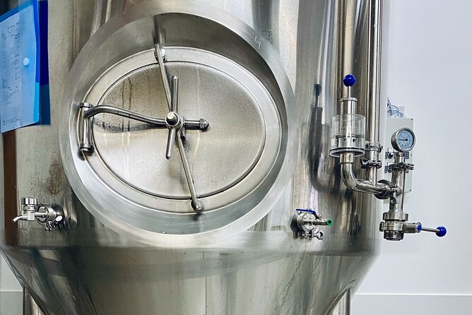 Craft Beer and Brewery Tour in Iceland - Who should book this one-hour experience?