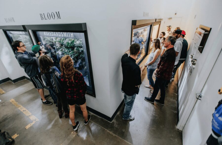 Denver: Buds & Brews Cannabis Grow Tour and Brewery Visit - Dispensary stops and the 15% savings