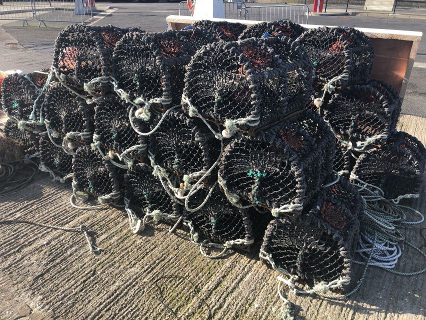 Dublin: Howth Coastal Craft Beer and Seafood Tour - The three-hour pace and the people who will enjoy it most