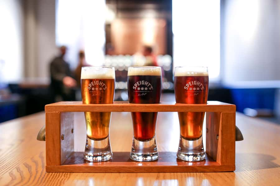 Dunedin: Speight's Brewery Guided Tour with Tasting - Should you book the Speight’s Brewery tour?