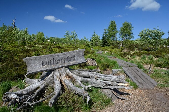 from Frankfurt - romantic Black Forest & brewery, private tour - Allerheiligen Waterfalls, the day’s strongest nature stop