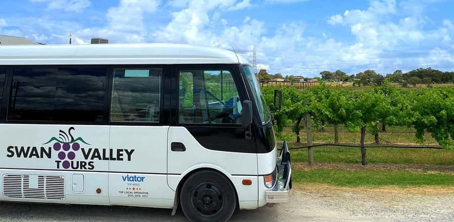 From Perth: Swan Valley Winery & Brewery Day Tour With Lunch - Starting from Perth CBD with a small group