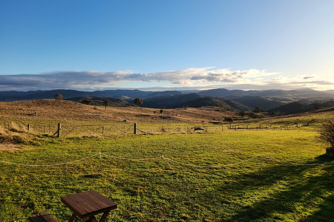 Full-Day Canberra Brewery, Wineries & Distillery tour /w lunch - Ambrosia Distillery, the day’s spirit highlight
