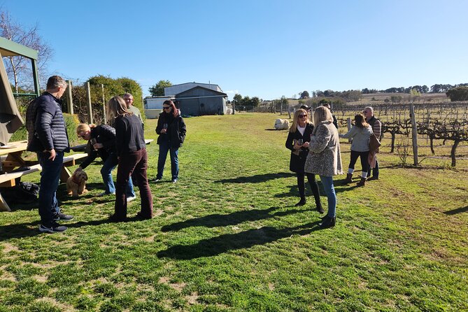 Full-Day Canberra Brewery, Wineries & Distillery tour /w lunch - BentSpoke Brewing Co. and Canberra beer