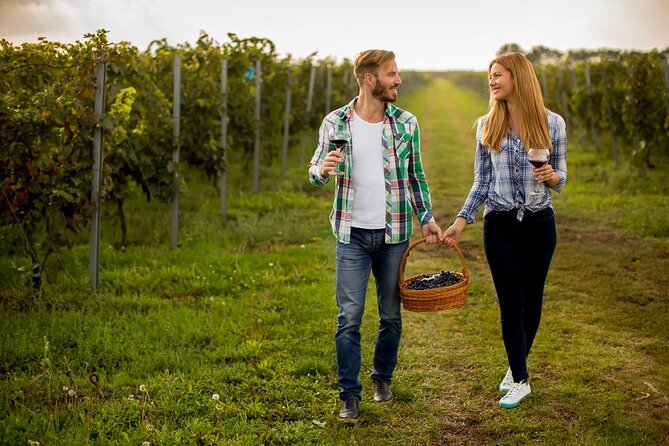 Full-Day Wine, Whiskey & Beer Tour w/ Lunch Pairing - A six-hour route built around five pours