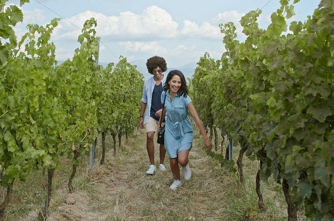 Full-Day Wine, Whiskey & Beer Tour w/ Lunch Pairing - Who should book this Niagara outing?