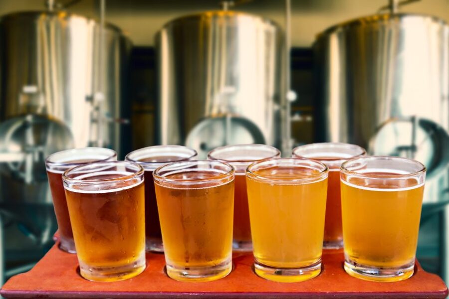 Gdansk: Polish Beer Tasting Tour - Should you book the Gdansk Polish Beer Tasting Tour?