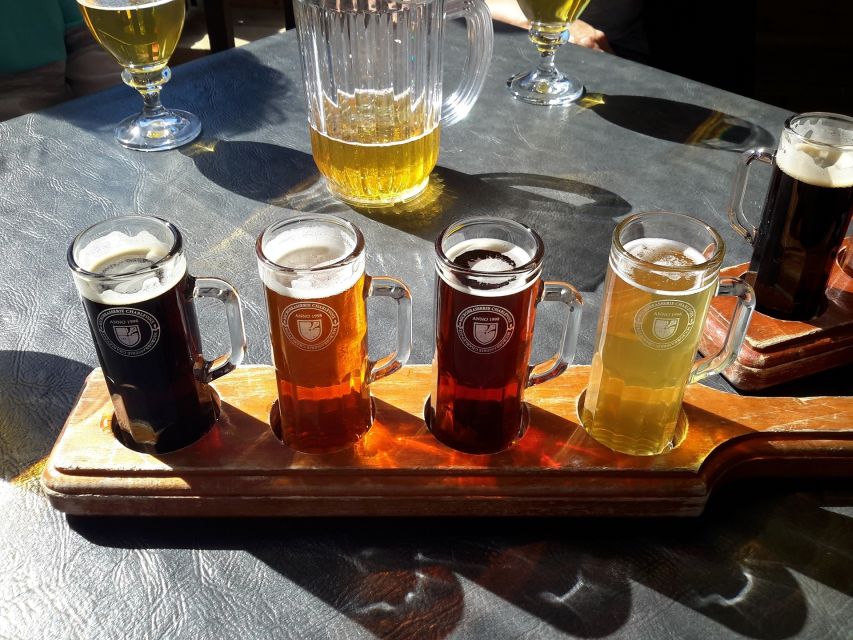 Gdansk: Polish Beer Tasting Tour - Price, timing, and what the package includes