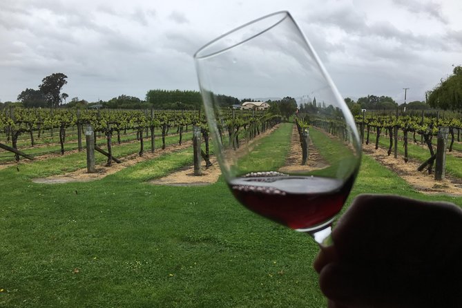 Half-Day Marlborough Wine Tour & Beer Tour - Why this half-day tour works in Marlborough