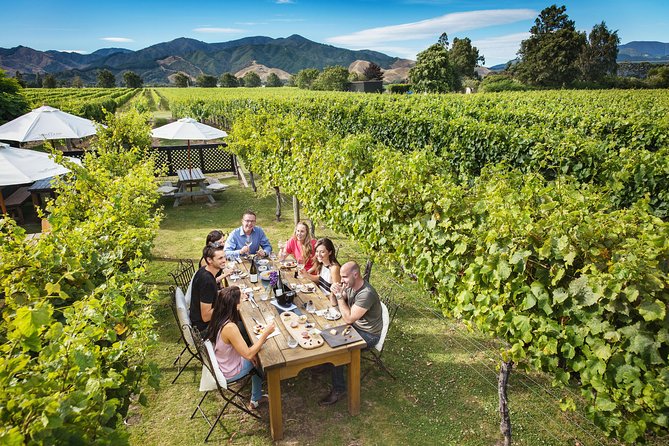 Half-Day Marlborough Wine Tour & Beer Tour - Beer and chocolate can change the focus