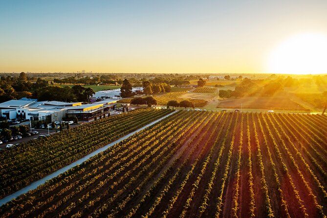 Half-Day Swan Valley Winery & Brewery - A coach tour with room for local judgment