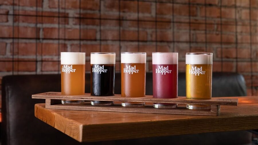 Helsinki: Brewery Tour at Mad Hopper Brewing Company - What happens during the 1.5-hour visit