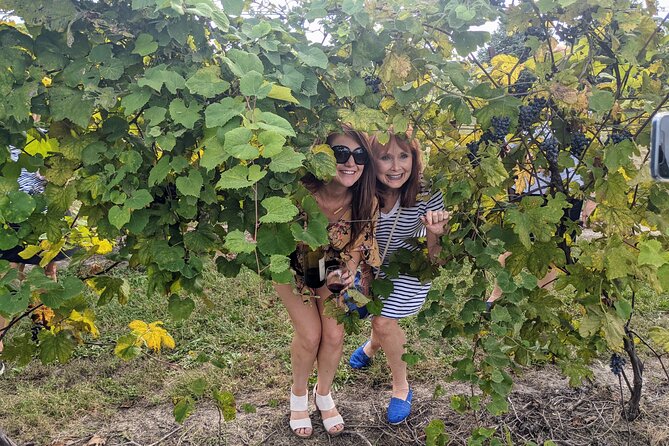 Kansas City Brewery, Winery, and Distillery Tour - The distillery often becomes the favorite stop