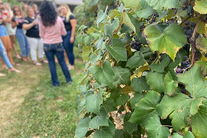 Kansas City Brewery, Winery, and Distillery Tour - Transportation, timing, and group size