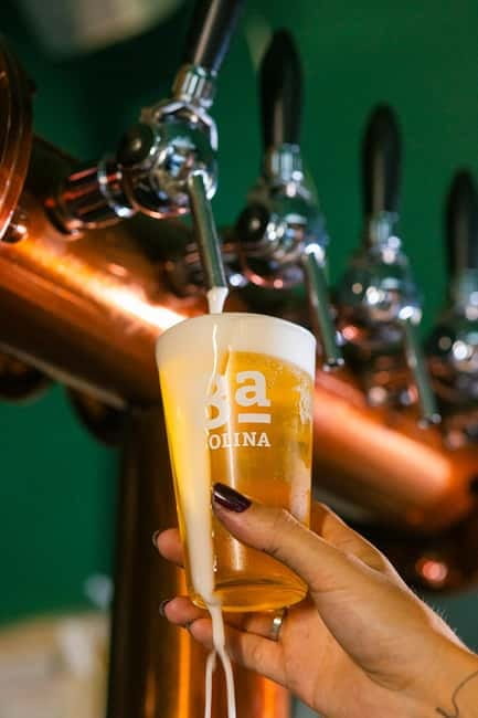 Lisbon: Craft Beer Tasting - Language, Timing, and Booking Tips