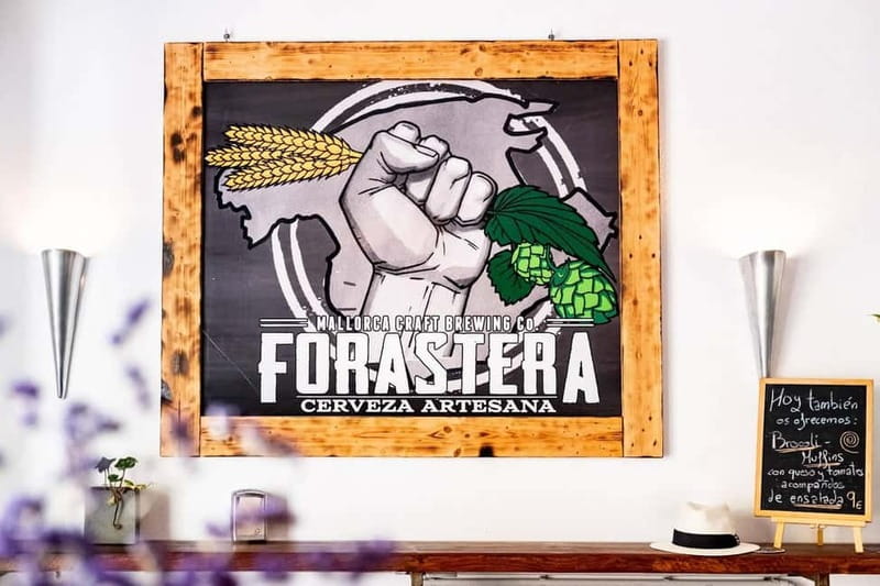 Mallorca: Craft beer tasting at the local Forastera brewery - Comparing the craft beers, one style at a time