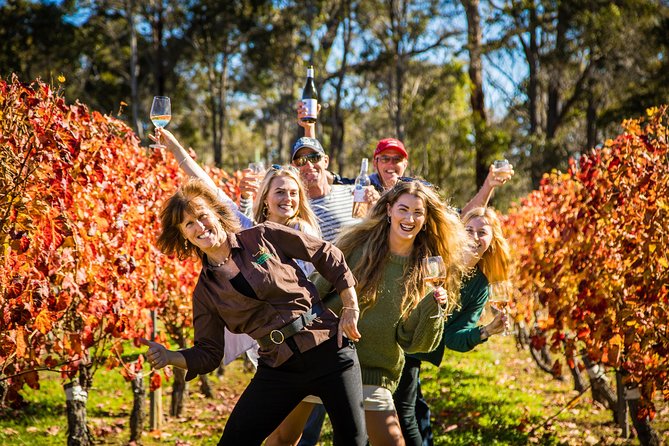 Margaret River Winery, Brewery Tour with Gourmet Lunch. - What makes this tour worth considering