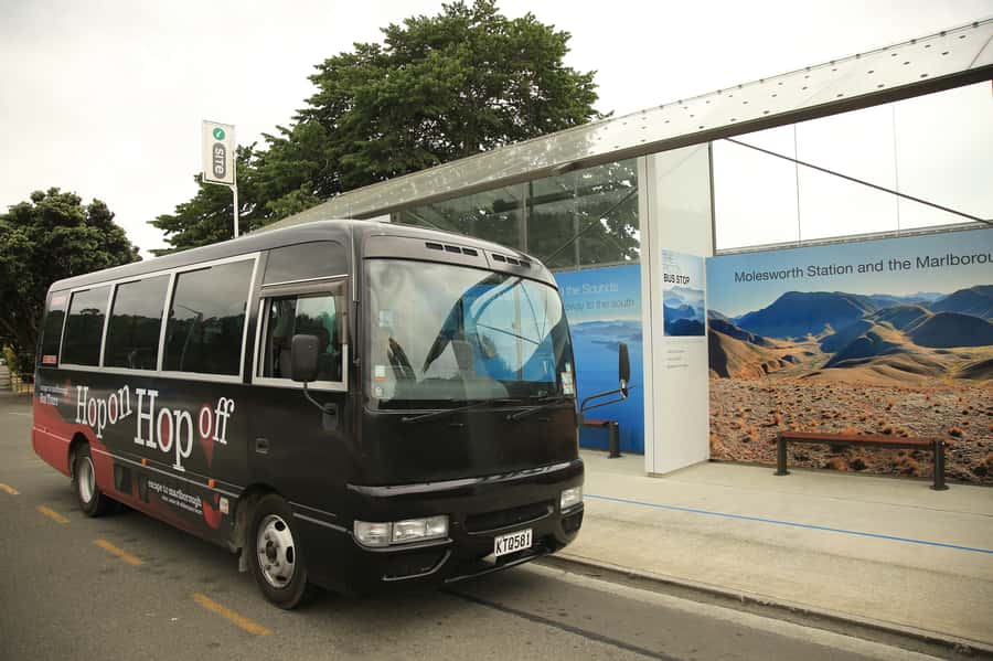 Marlborough: Hop-On Hop-Off Wine, Brewery, and Wonders Tour - Why this bus works well in Marlborough