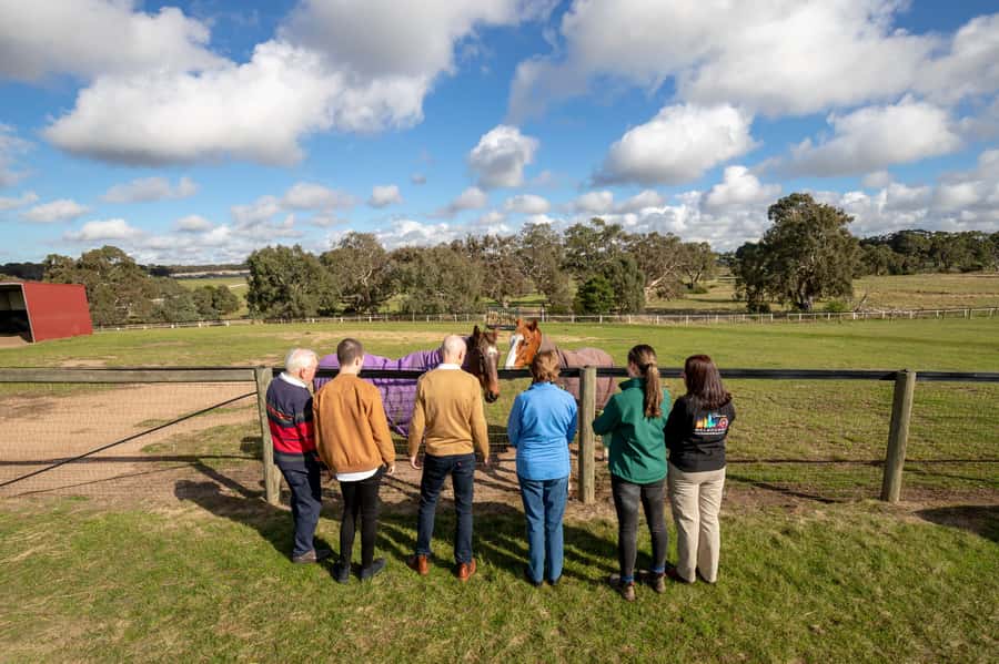 Melbourne: Full-Day Horses, Wine, and Beer Tour - Why this tour works as a Melbourne day trip