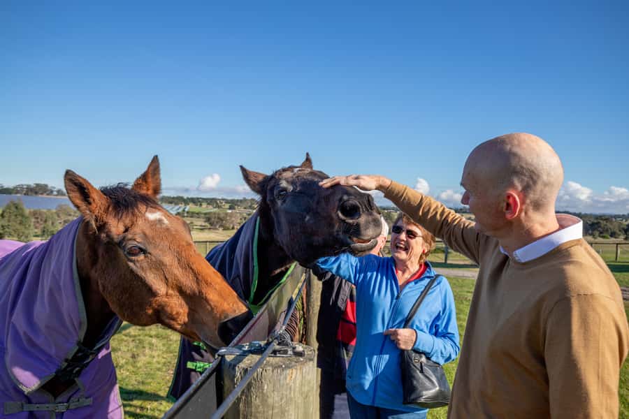 Melbourne: Full-Day Horses, Wine, and Beer Tour - Lunch and wine at Gisborne Peak Estate