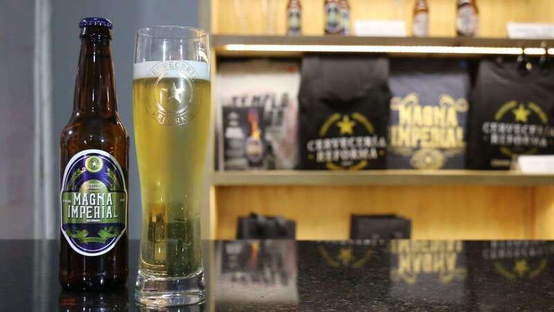 Mexico City Tasting Tour and Craft Beer Experience - What the three tastings are really worth