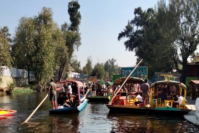 Mixology, Food, Wine and Beer Experience in Xochimilco - What to bring and how to plan the morning
