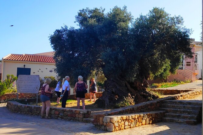 Monastery - Ancient Olive tree & Museum-Cretan Brewery Private Tour from Chania - What the guide adds to the day
