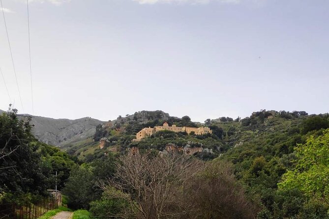 Monastery - Ancient Olive tree & Museum-Cretan Brewery Private Tour from Chania - Who should book this Chania tour