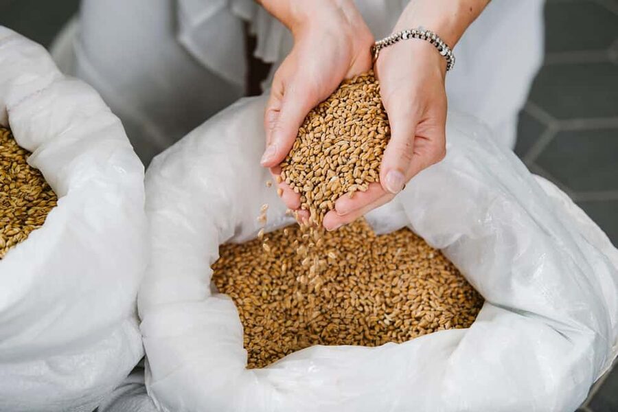 Munich: Brewery experience with beer & regional food - Who will enjoy this brewery experience