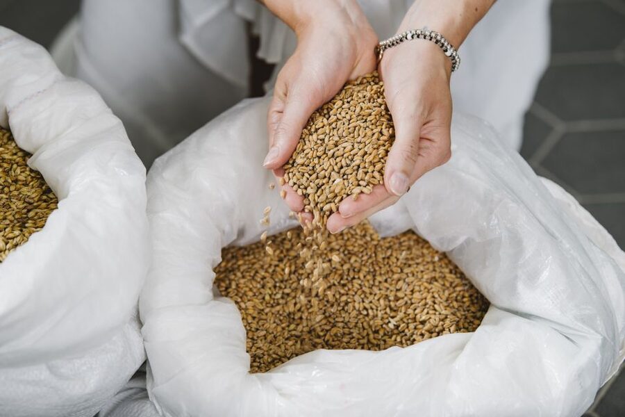 Munich: Hands-On Brewery Tour & Tasting of 4 Organic Beers - From raw malt to finished organic beer