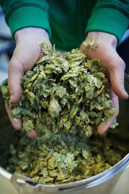Night time tour of Harstad Craft Brewery - Five Beers, Five Ways to Compare Flavor